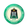 Mighty Morphin Power Rangers Enamel Pin - Dragonzord