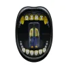 Odb Reaction Figure - Brooklyn Zoo