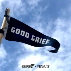 Peanuts Pennant - Good Grief