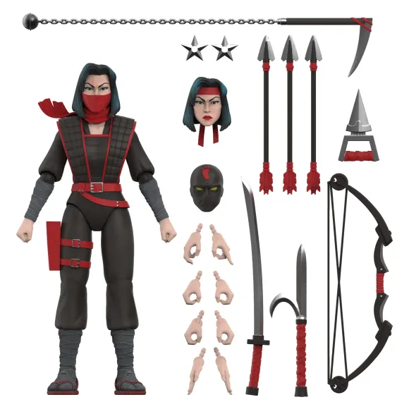 Teenage Mutant Ninja Turtles Ultimates! Wave 10 - Karai